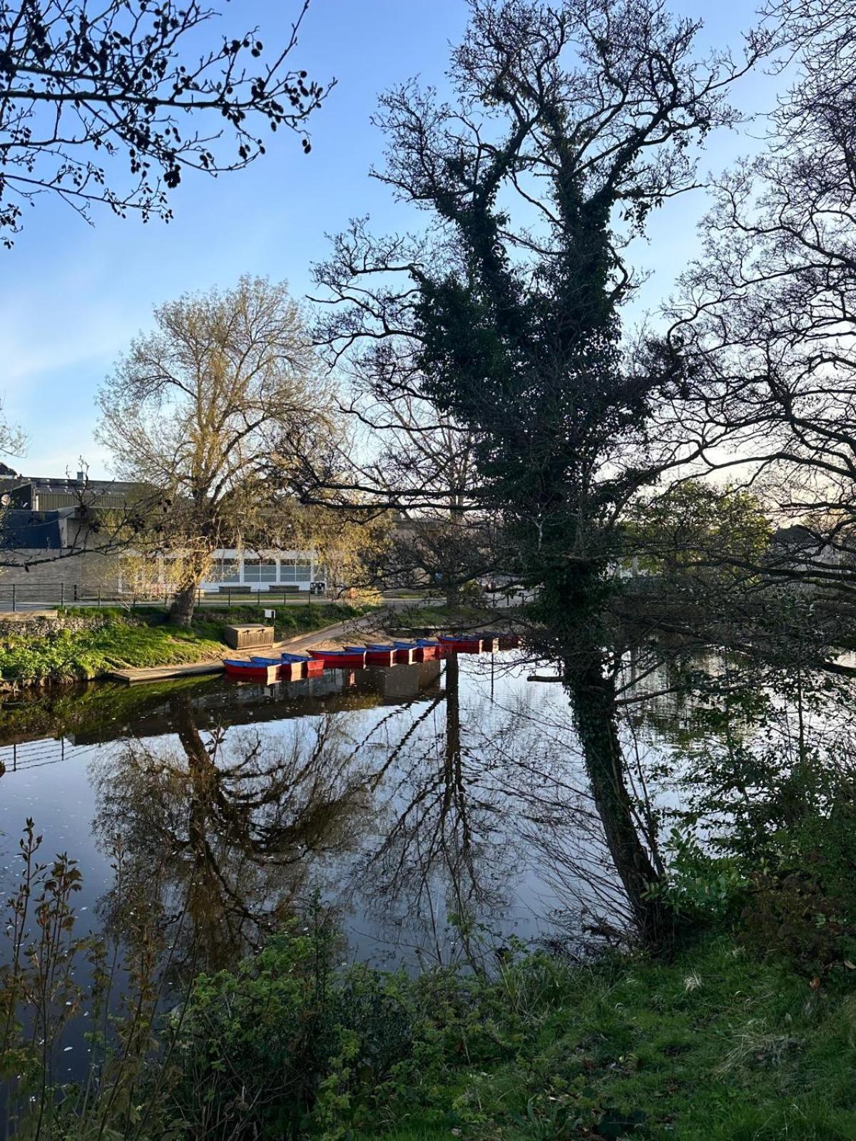 The Secret Cottage - Morpeth Exterior photo